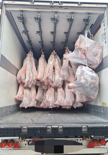 Transporte Carne Colgada